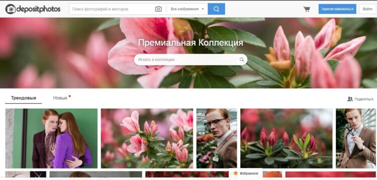 Заработок на фотографиях в clashot