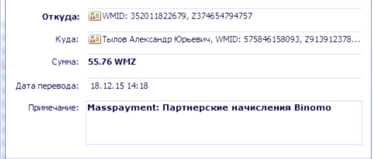 Выплата Binpartner