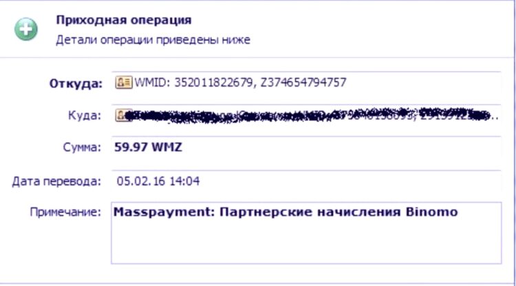 Выплата Binpartner 2