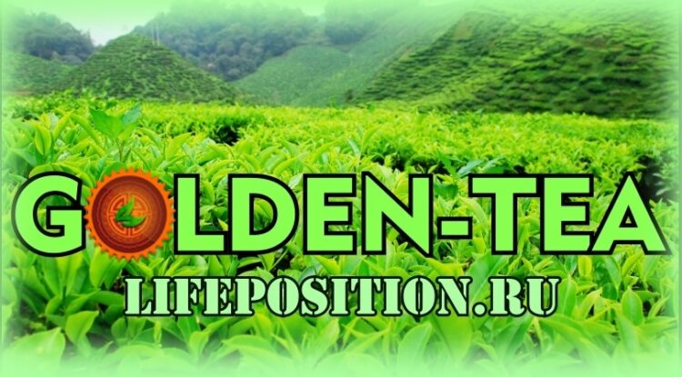 Обзор Golden-Tea - Отзывы и заработок в игре с выводом