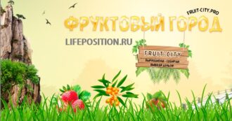 Обзор и отзывы Fruit City - Фруктовая игра с выводом денег